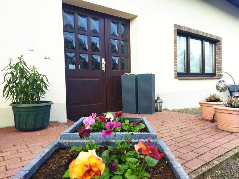 Ferienwohnung Familie Pohle 吕本瑙 外观 照片